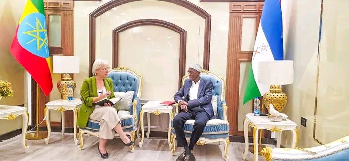 Afar National Regional State President Office tweet media