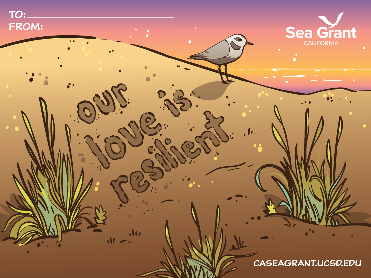 California Sea Grant tweet media