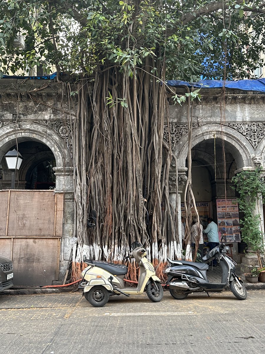 Alex Laplaza 🫠 tweet media