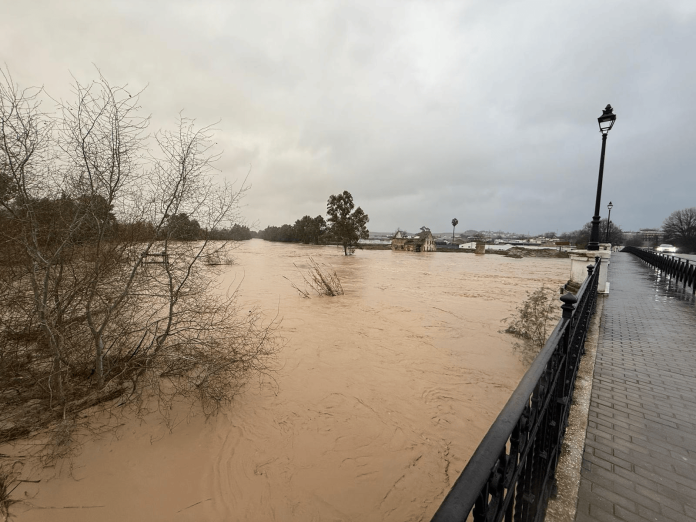 📸📷📷Las fotografías de los oyentes de los últimos días constatan los efectos del temporal en muchos puntos del país.

🔗¡No os perdáis nuestro álbum!

agropopular.com/oyentes-campo-…