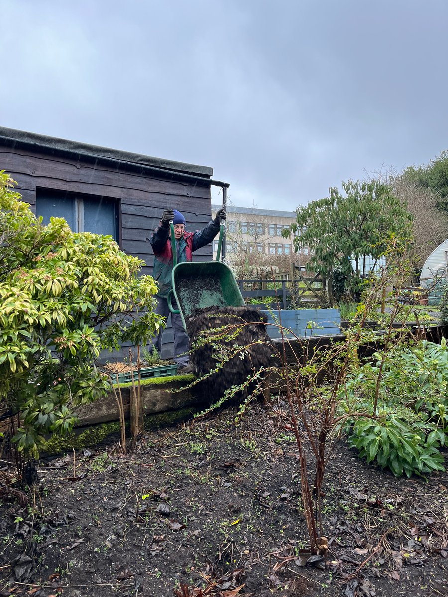 Ninewells Garden tweet media