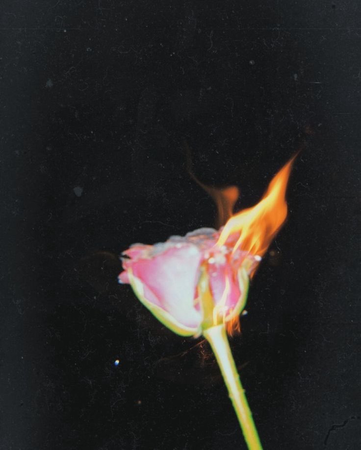 TheFirmCo_'s tweet photo. New Playlist. “aún”
Enjoy!!♥️💔❤️‍🩹 https://t.co/q6VQhmlygJ