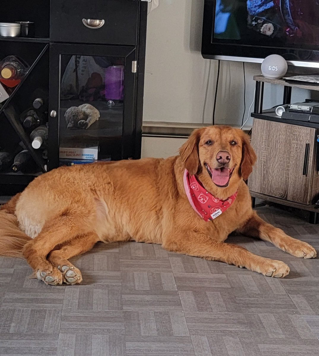 m4gni2de // $teve tweet media