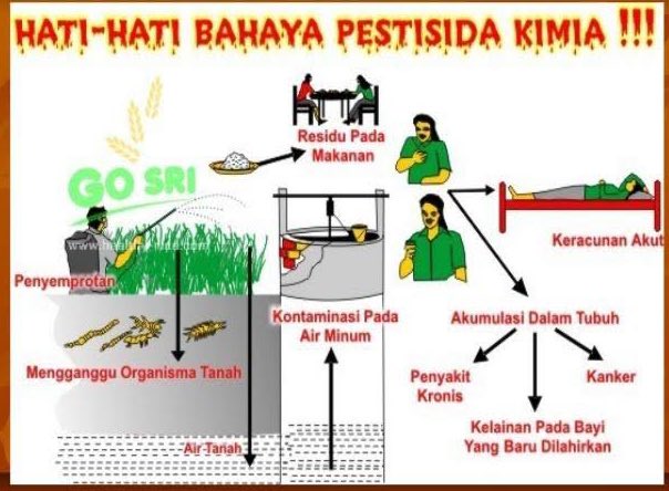 goldgloryandyou's tweet image. Gilaaaa gua baru dapet data jenis pestisida yang mencemari wilayah sungainya dan ini ngeri banget. Bahan aktif profenofos golongan (organofosfat), fipronil golongan (phenylpyrazole) dan bromadiolone golongan (rodentisida antikoagulan).

Residunya aja sangat mungkin untuk merusak…