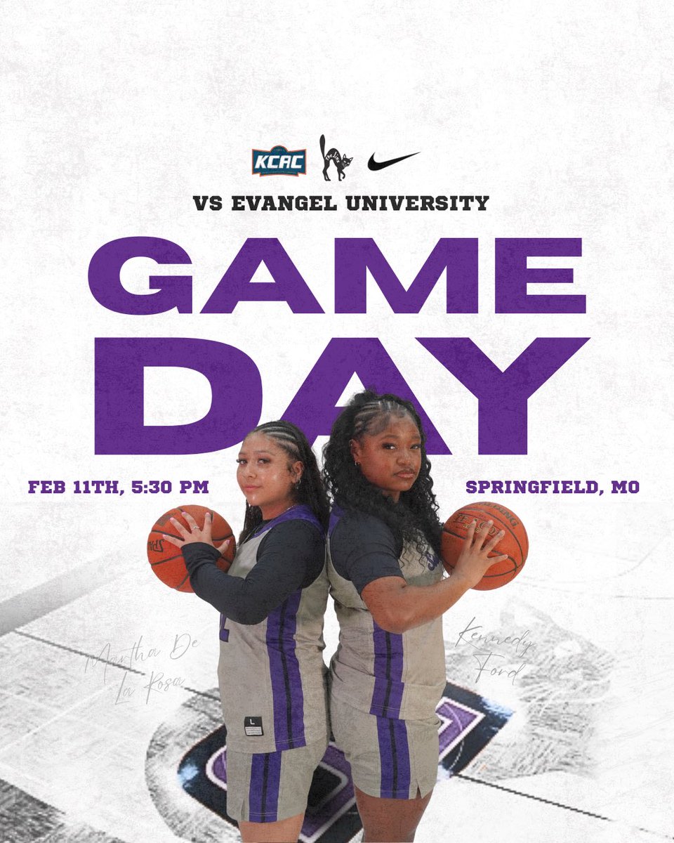 LadyBuilderBasketball tweet media