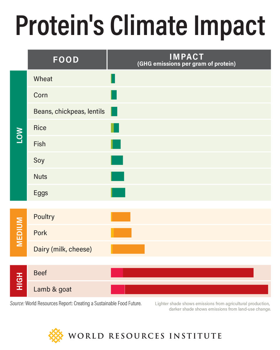 World Resources Institute tweet media