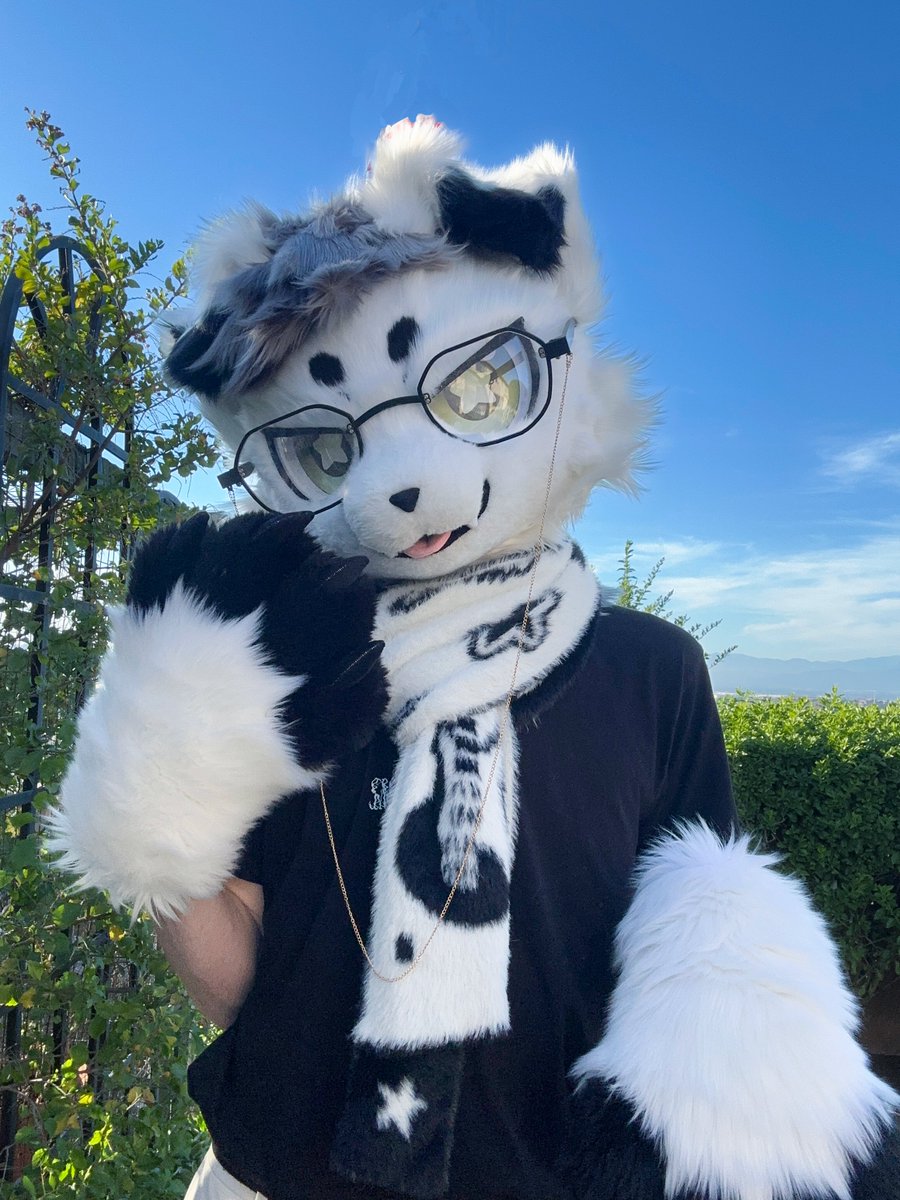 wurmo 🔜 LVFC tweet media