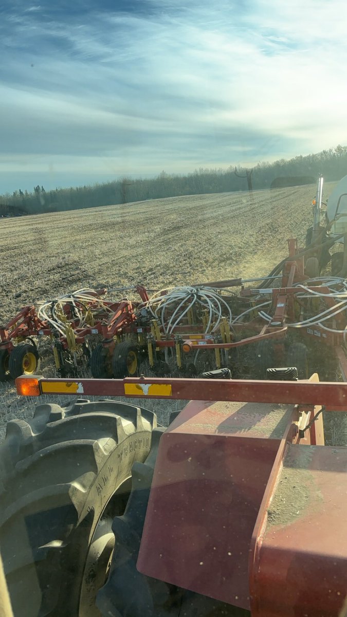 Dylan Robinson tweet media