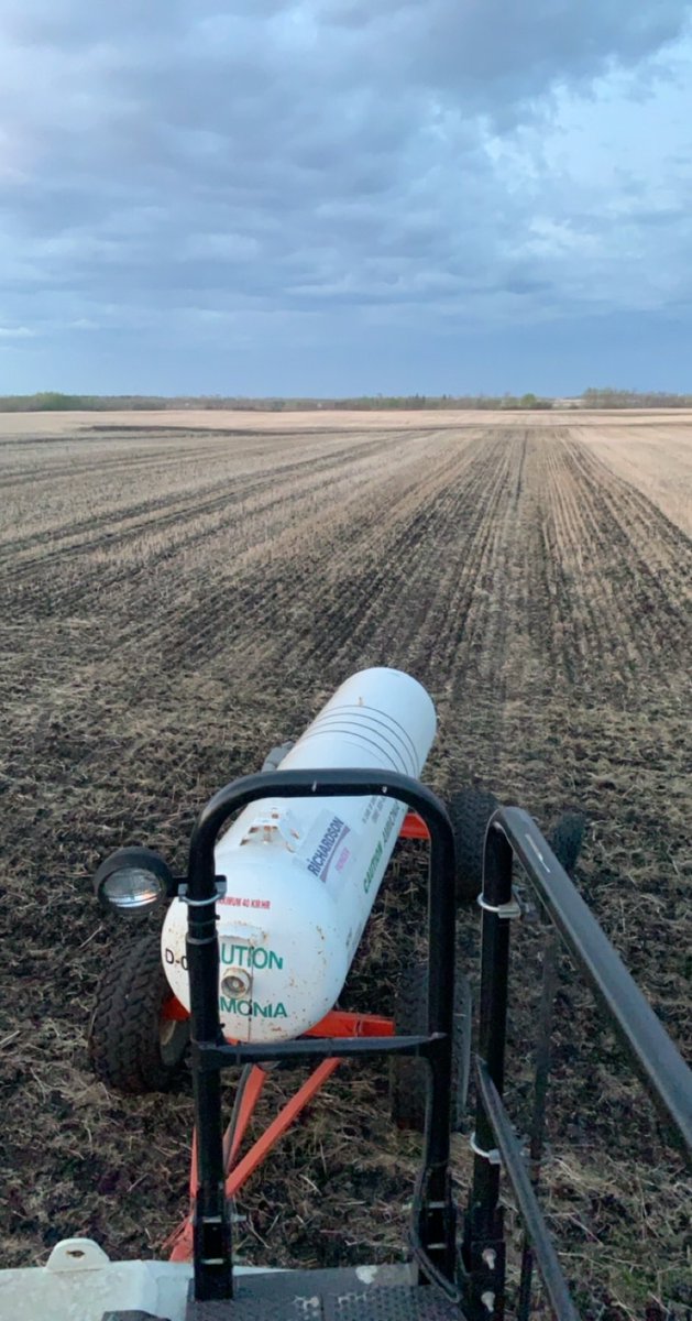 Dylan Robinson tweet media