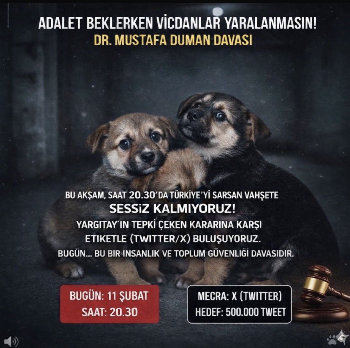 Adli veteriner uzmanı Dr. Sean Taylor;
“ Hayvanlara zarar verenler
çoğu zaman insanlara da zarar verirler. Bana göre, bugünün hayvan istismarcıları yarının tecavüzcüleri ve katilleridir.”
diyor ki bu doğru…

Böylesi bir gerçeklik varken, onca masum hayvana işkence, tecavüz edip