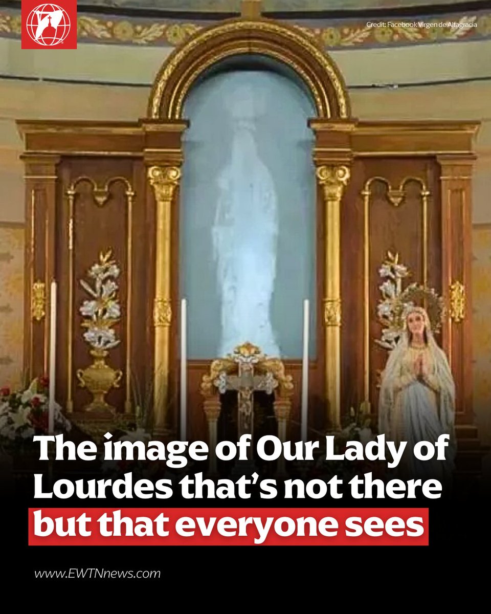 EWTN News tweet media