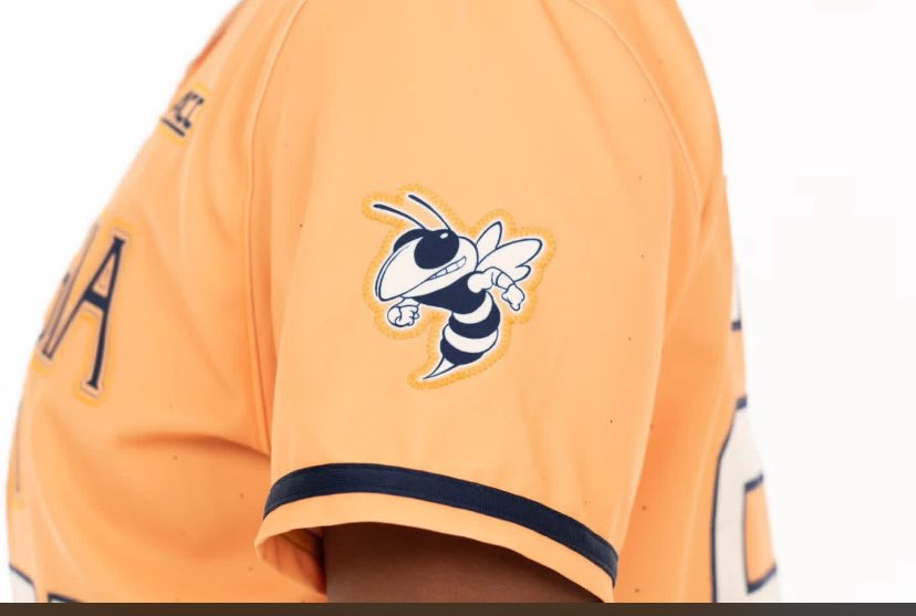 Brandon Paradise tweet media