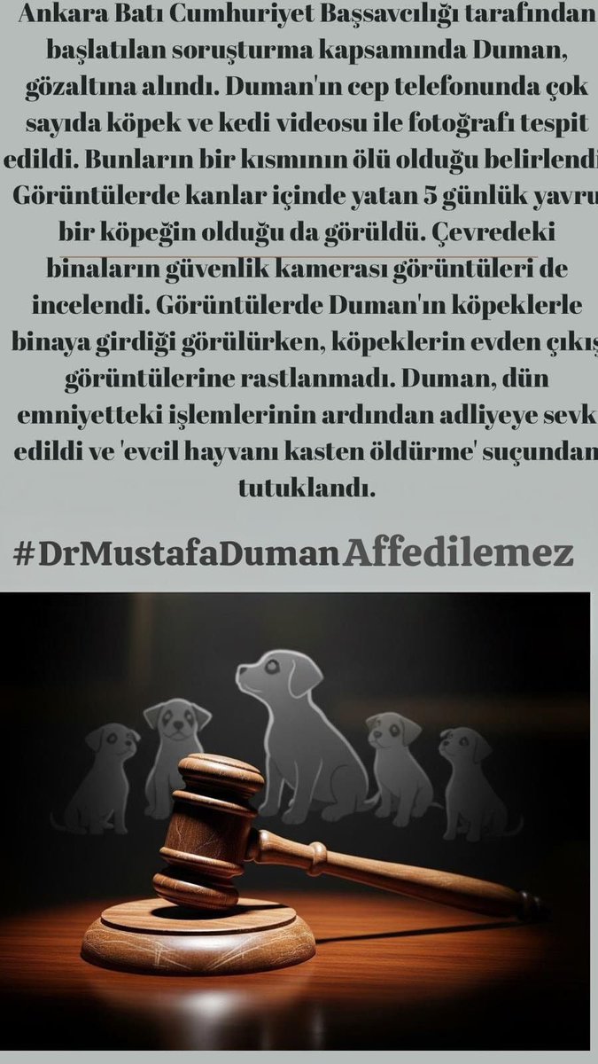 Memetcan tweet media