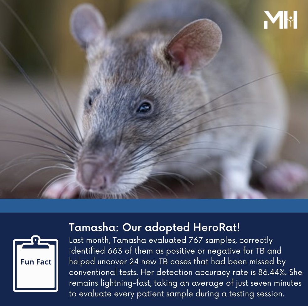 The Mueller Health Foundation tweet media