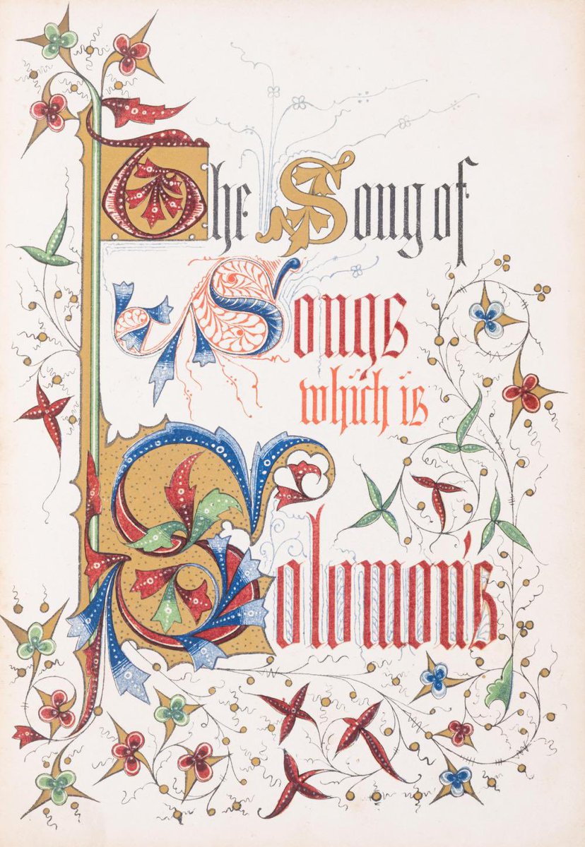 Deniss 🍃 tweet media