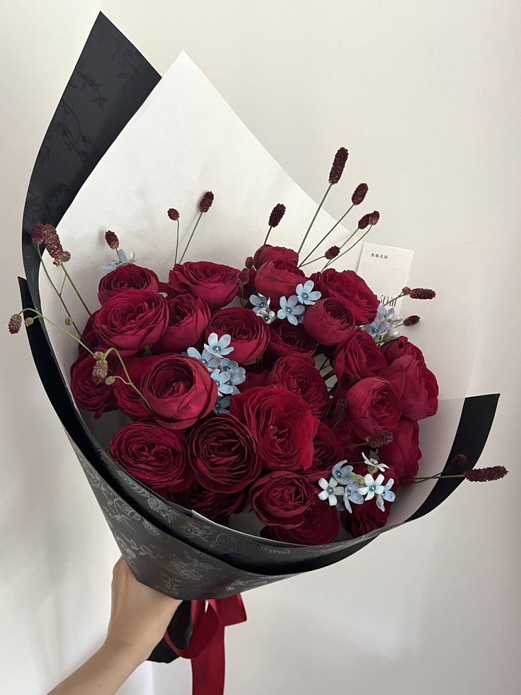 ____flowers__'s tweet photo. https://t.co/zsXAiSUfBt