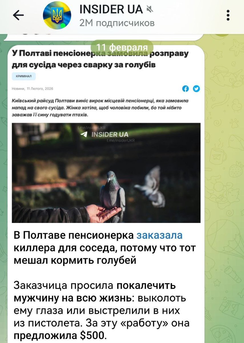 Сразу видно — европейцы