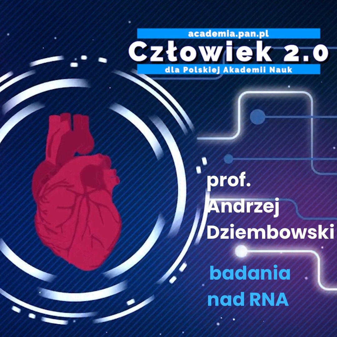 Jan Stradowski tweet media