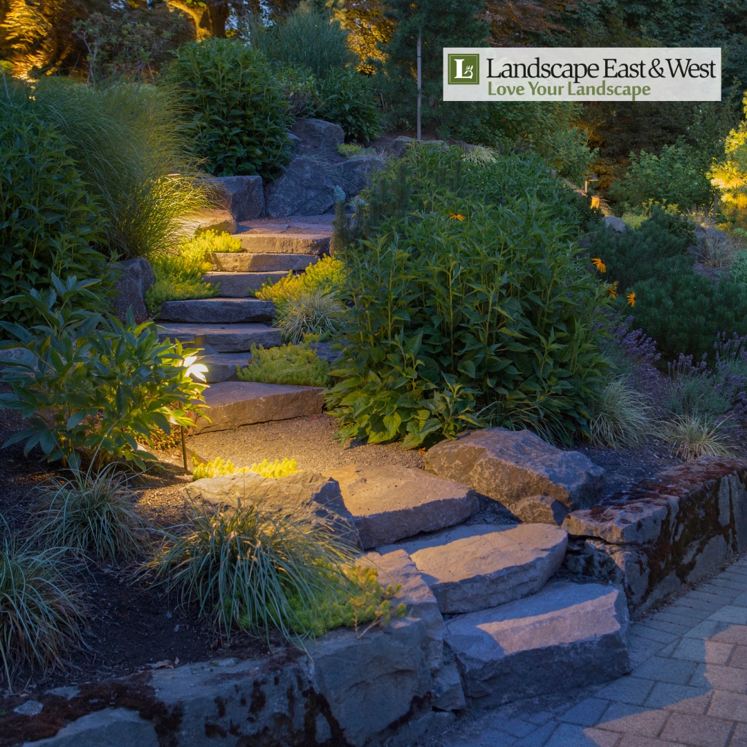 LandscapeEW's tweet image. Early sunsets and dark walkways are common during PNW winters. Landscape lighting improves safety, visibility, and comfort while keeping your home welcoming year-round.
landscapeeast.com/services-2/res…

#OutdoorLighting #PNWHomes #HomeSafety