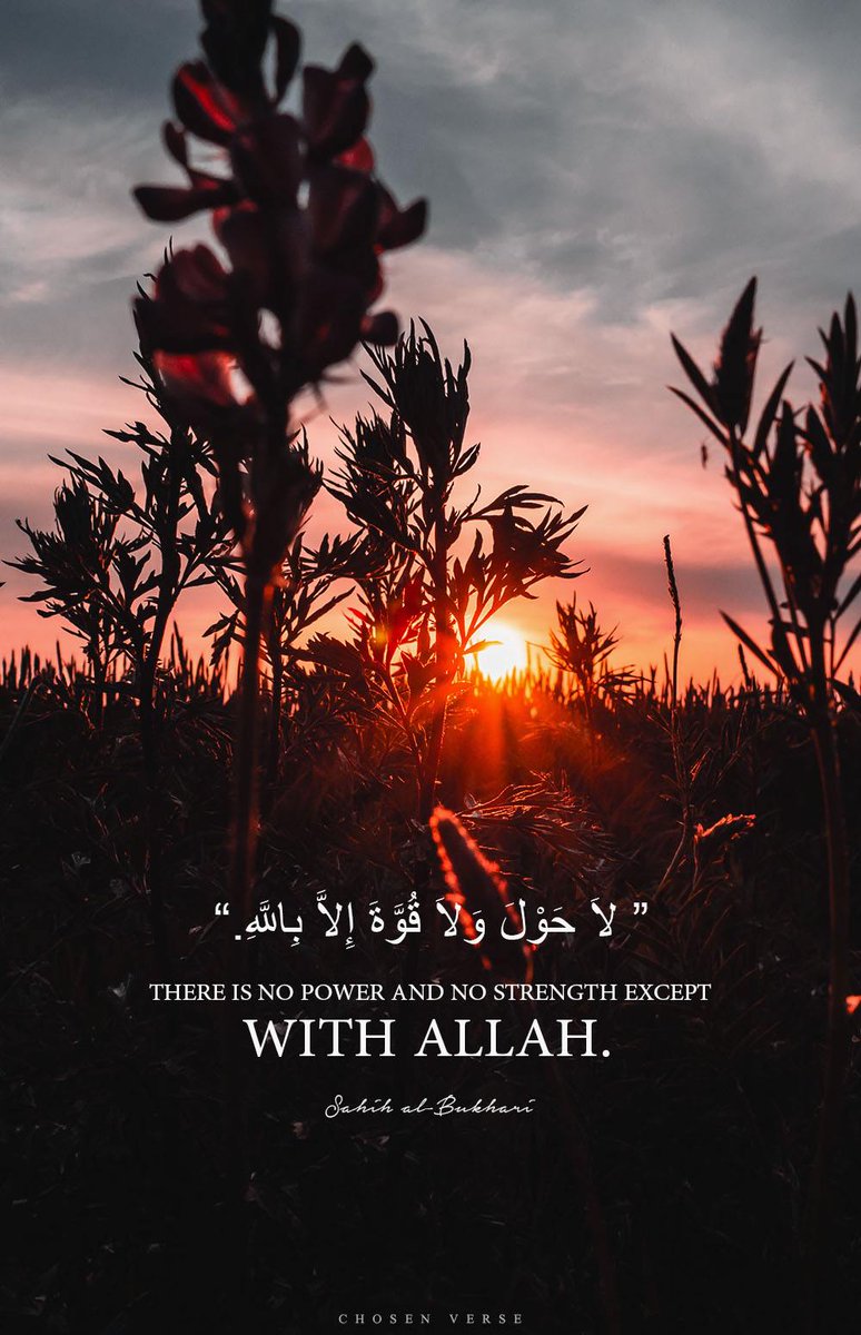 المصحف الجامع (@almoshaf_algame) on Twitter photo 