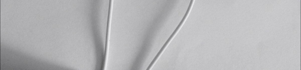 عبدالرحيم‏ tweet media