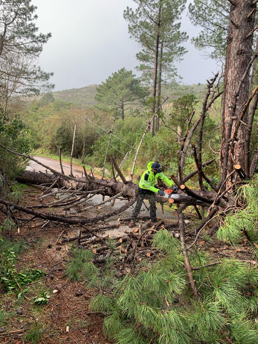 Jean-Christophe Angelini tweet media