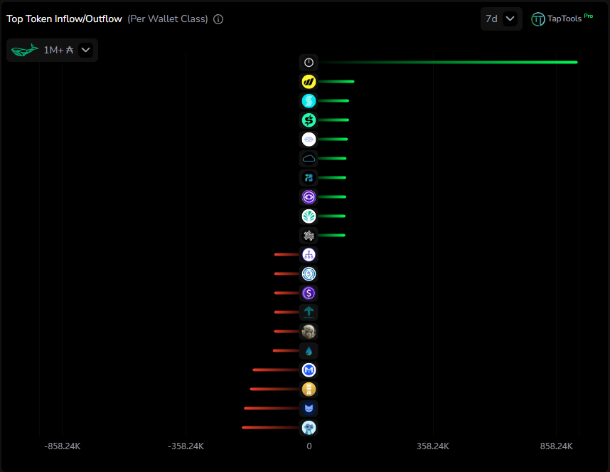 DexHunterIO's tweet photo. Whales are loading up on $NIGHT 🔥

Whales buying + holders increasing = big things coming👀 https://t.co/1JSb47Bjcw