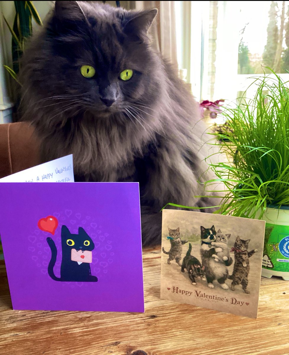 Thank you so much for the beautiful Valentines card <a href="/Andrea56822453/">🎉🌈Skippy🐈Kevy🐈Badger🐈Sunny🐈Basil🐈Mikey🐈🎉</a>  I’m so happy with it ,you’re such sweet friends Skippy 🌈 Kevy Badger Sunny Basil and Mickey!!
I loooove you!!!😽♥️😽♥️😽♥️