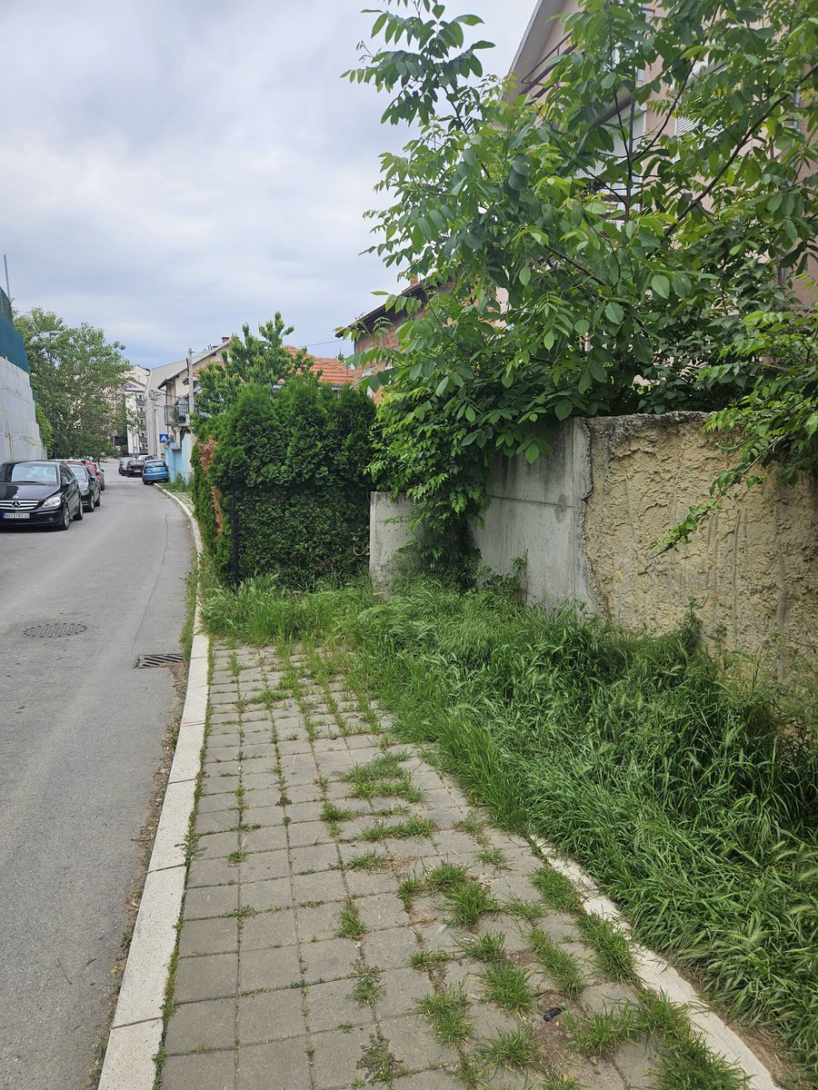 profesionalac_B's tweet photo. @prijavi_problem Poštovani...
Privatno lice je prisvojilo javnu površinu (uzelo trotoar) I to je ovako vec 8 godina...silne prijave ali on je zaštićen očigledno...
Mirijevo...ulica Steve Žigona bivša Radmile Savićević https://t.co/Bn1INNRfQx