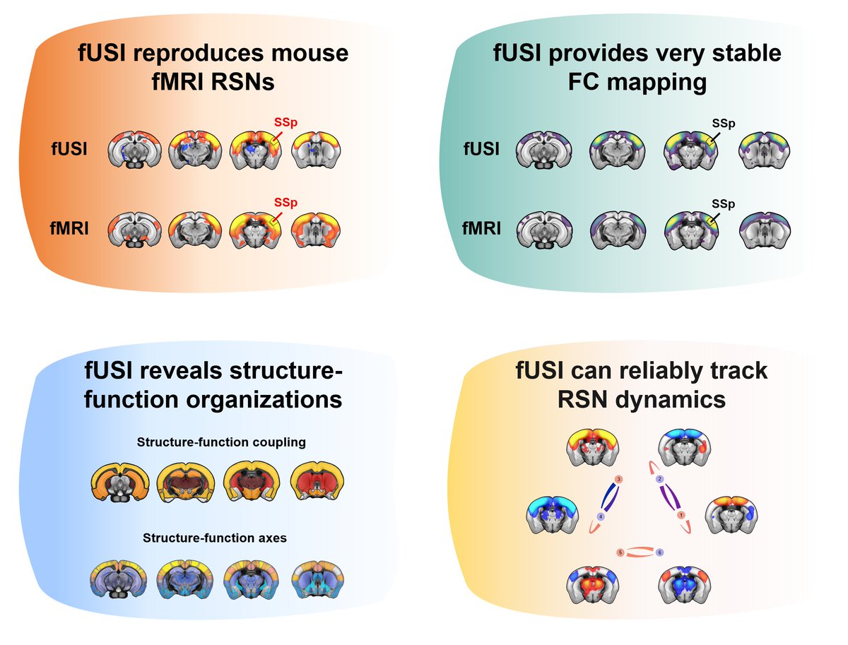 Chiara Pepe tweet media