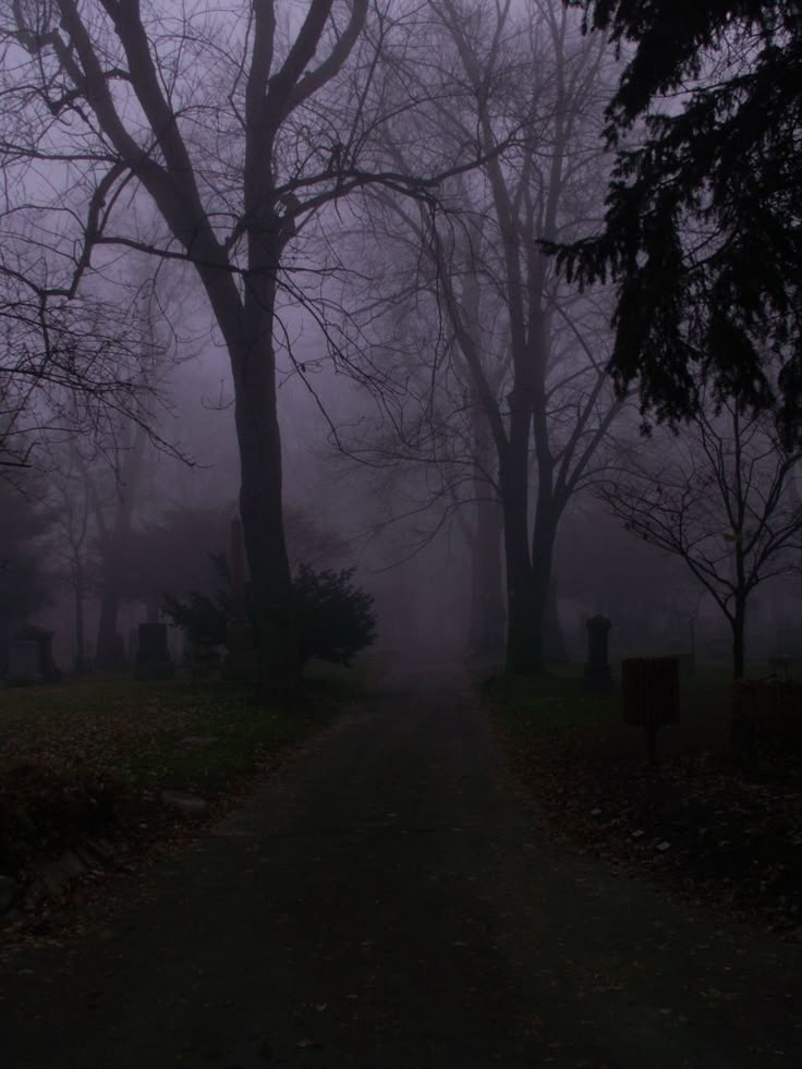 𝕰𝖑𝖊𝖒𝖒𝖎𝖗𝖊 tweet media