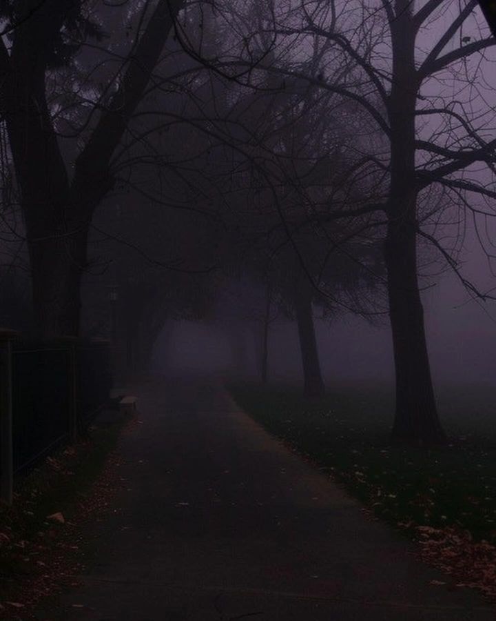 𝕰𝖑𝖊𝖒𝖒𝖎𝖗𝖊 tweet media