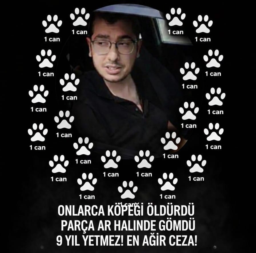 Köpek tecavuzcusu,  psikopat Dr. bozuntusuna en ağır ceza verilmelidir.
#DrMustafaDumanAffedilemez