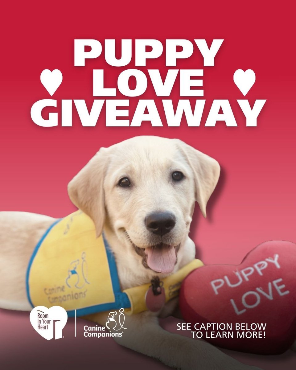 Canine Companions® tweet media