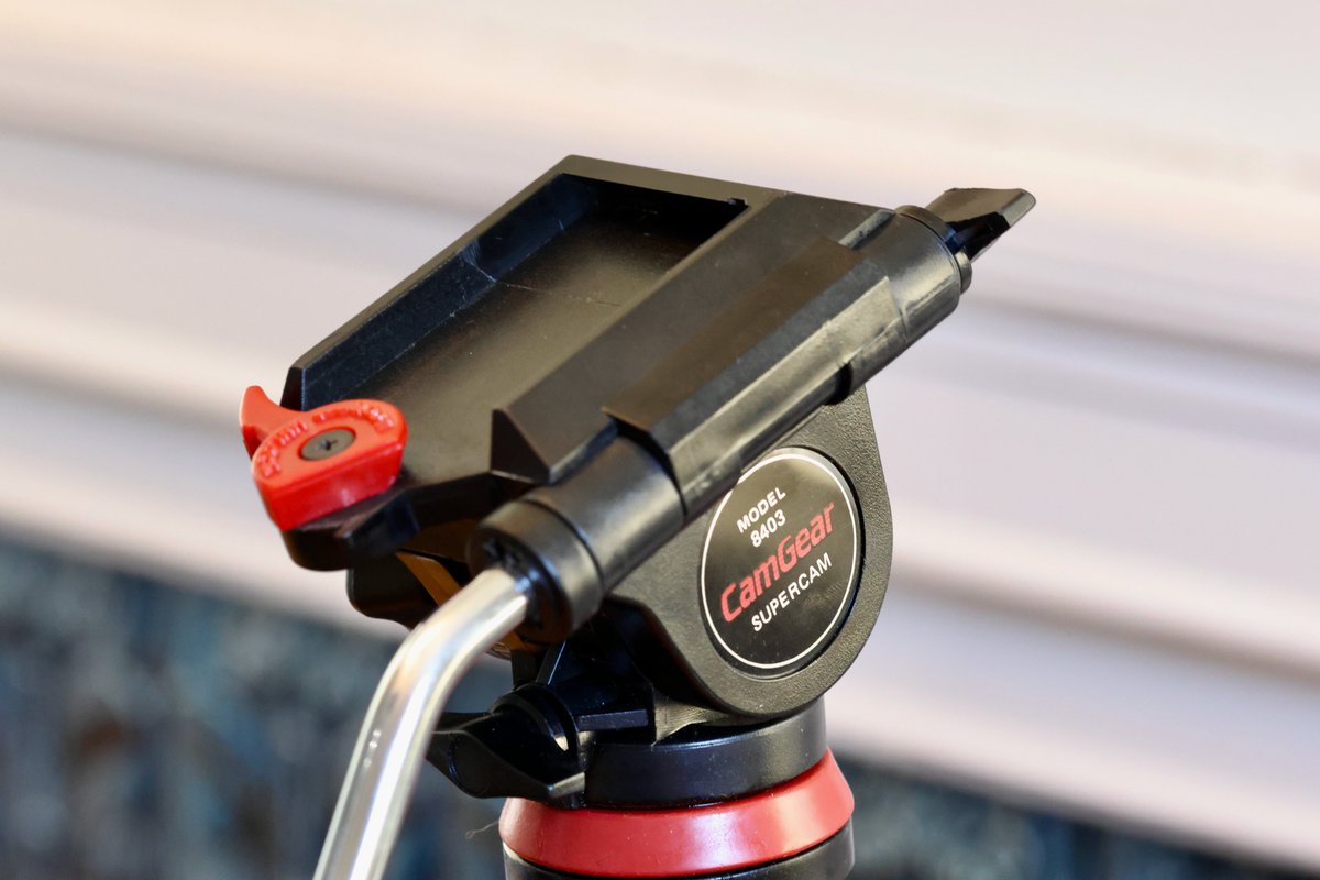 Devon Bray tweet media