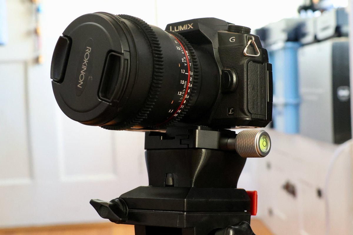 Devon Bray tweet media