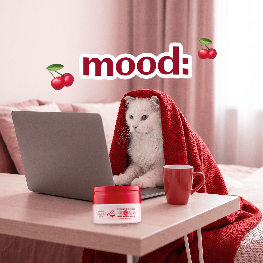 Boti Real Oficial tweet media