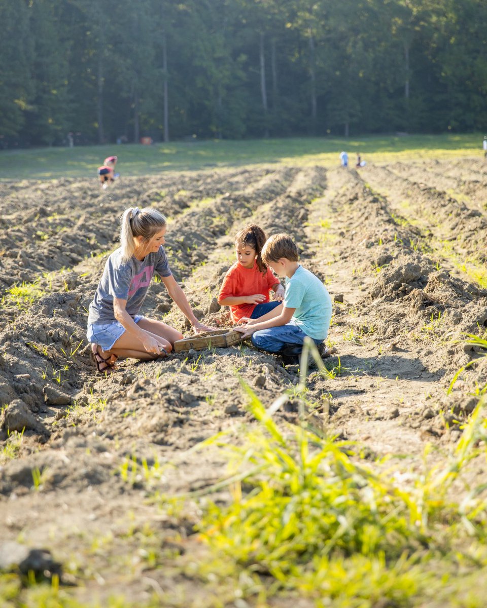 Arkansas State Parks tweet media