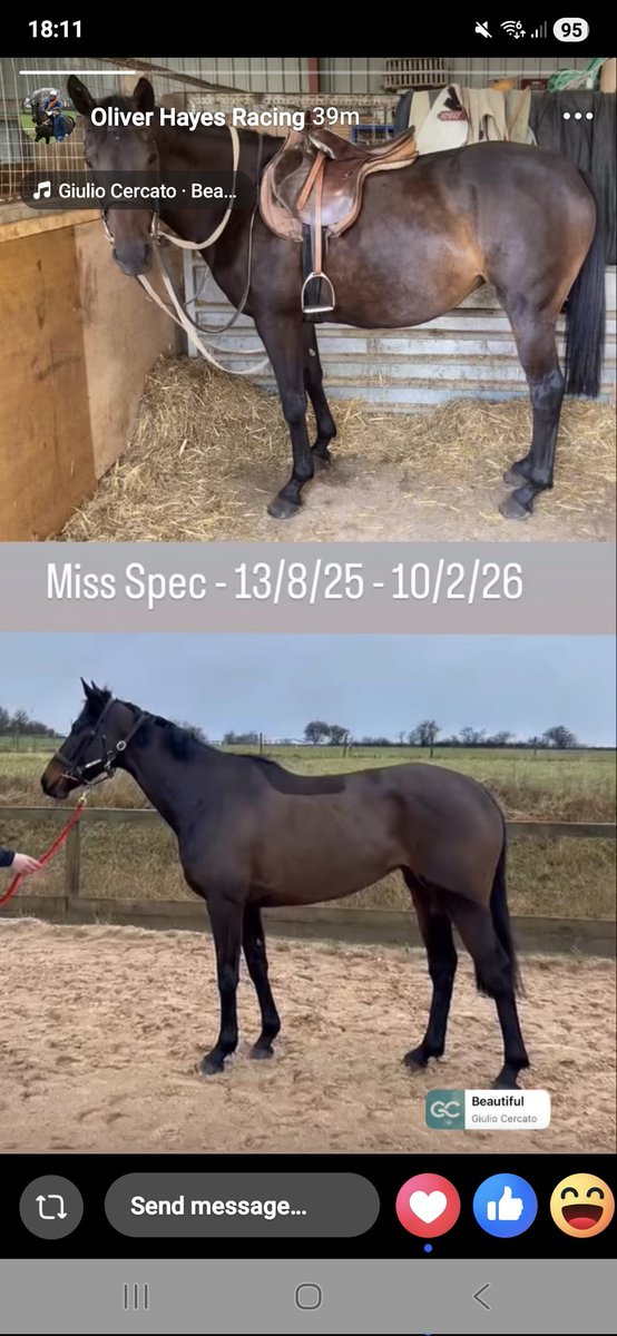 Alcester Academy Sci Dept🌈 tweet media