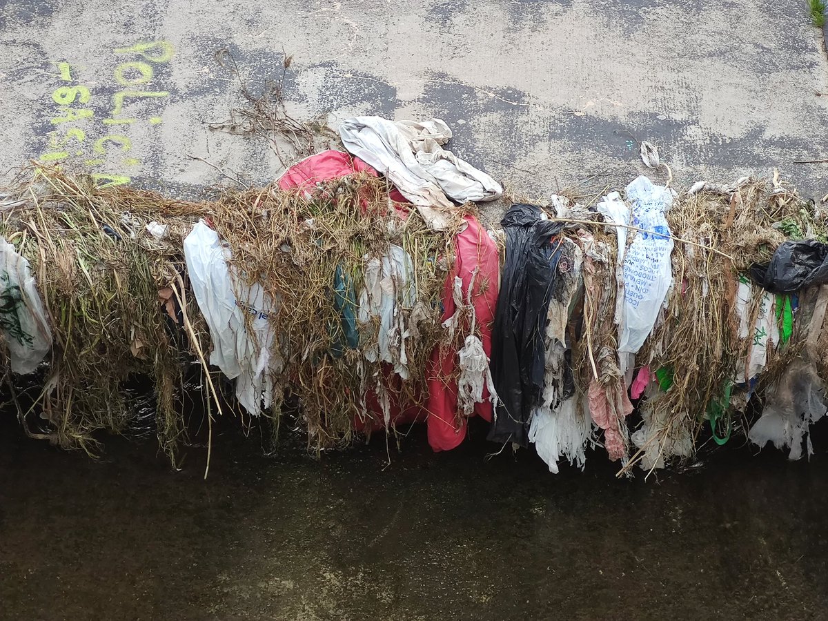 AndaLimpia tweet media