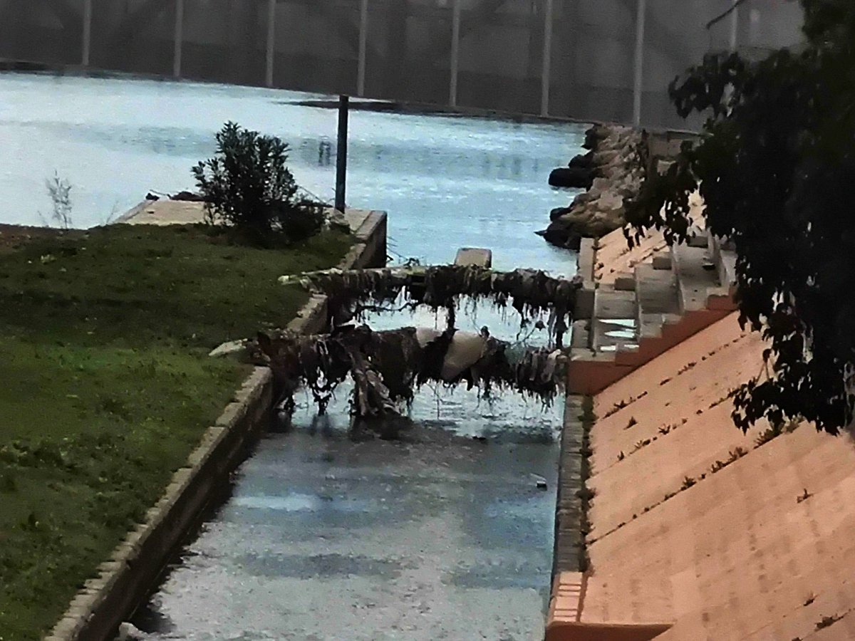 AndaLimpia tweet media