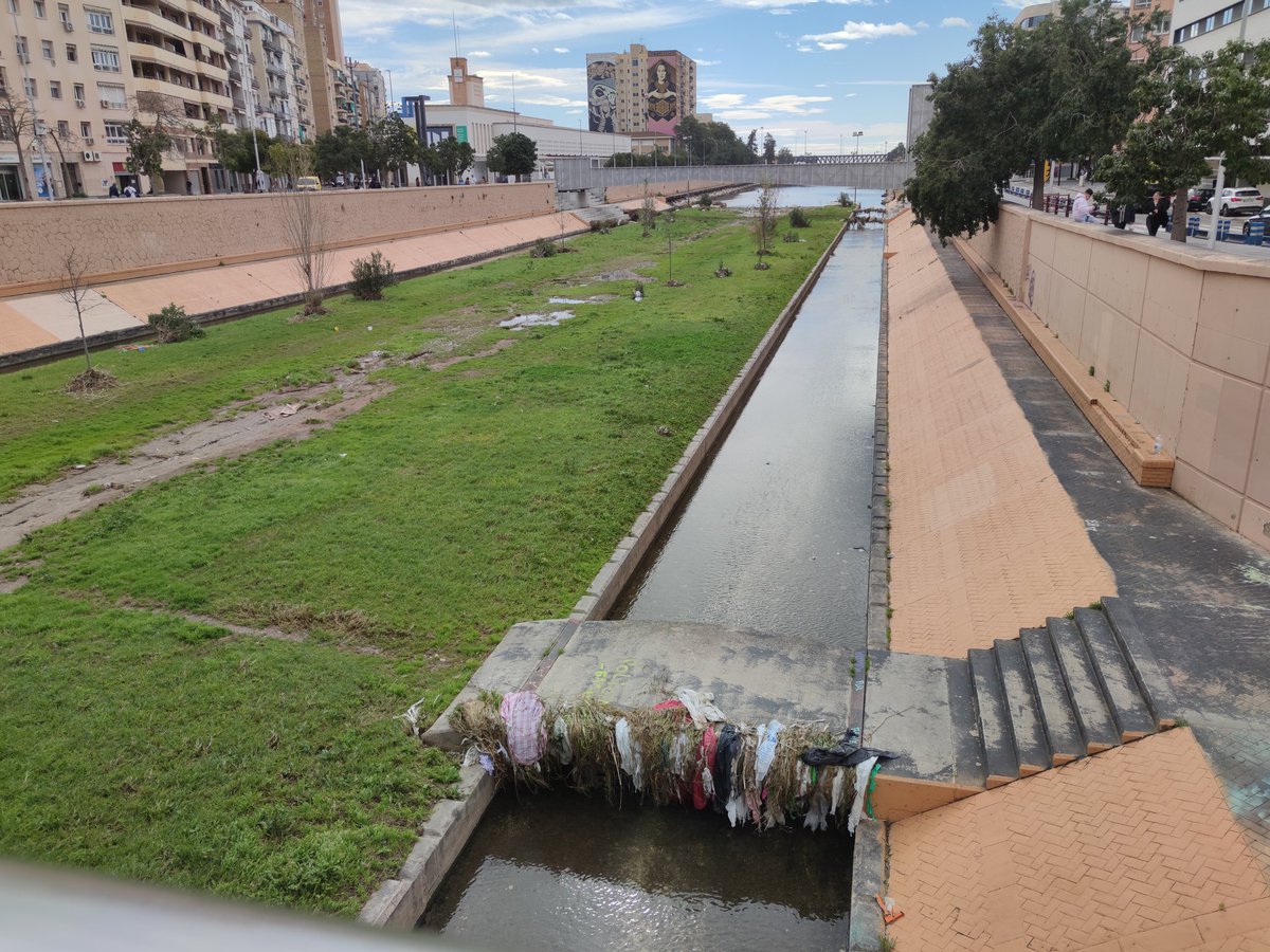 AndaLimpia tweet media