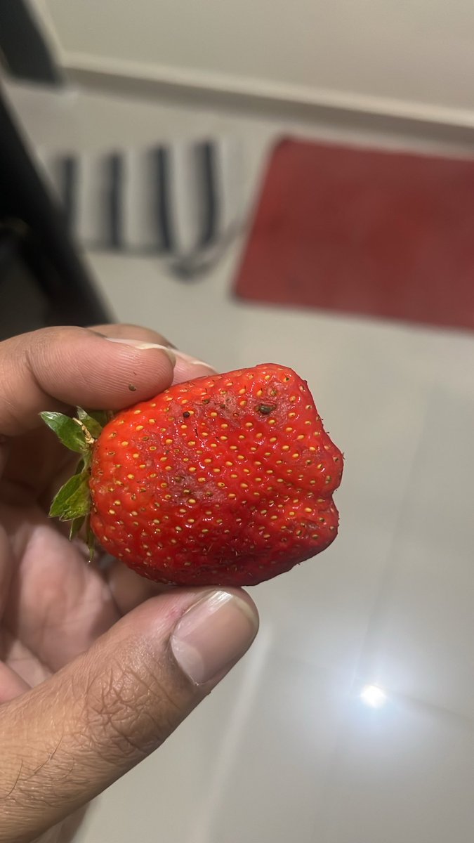 dmundhra's tweet photo. @zeptocares I have ordered a box of strawberries which was stale with fungus. Did I paid for this product? Now I am not getting refund nor replacement? Order ID# SNOJNMGER58338 https://t.co/rBmoiF2FKR