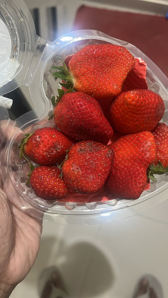 dmundhra's tweet photo. @zeptocares I have ordered a box of strawberries which was stale with fungus. Did I paid for this product? Now I am not getting refund nor replacement? Order ID# SNOJNMGER58338 https://t.co/rBmoiF2FKR