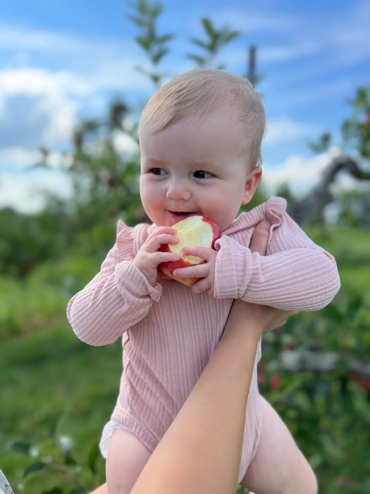 Stark Bro's tweet media