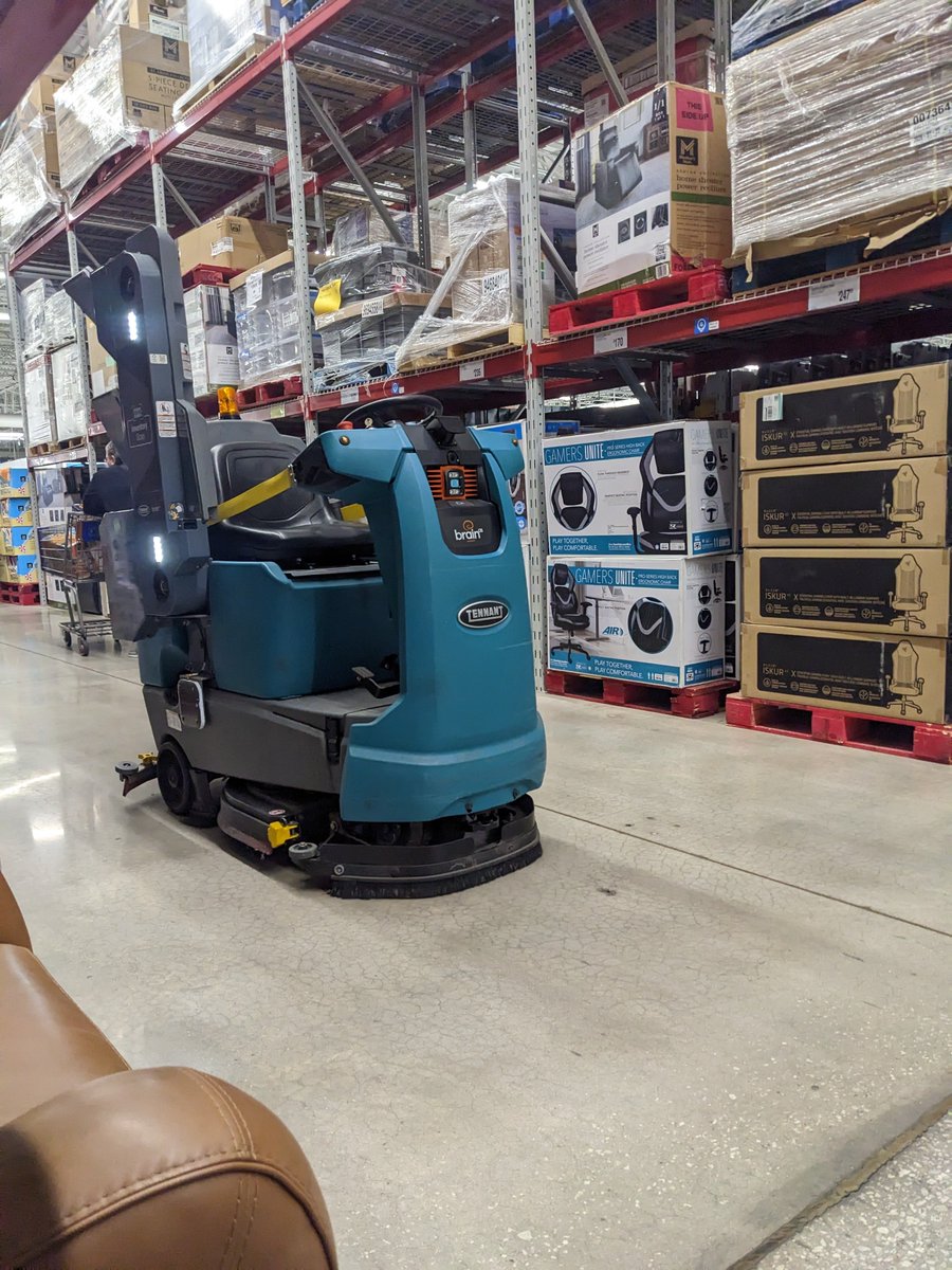 Sar Bear tweet media