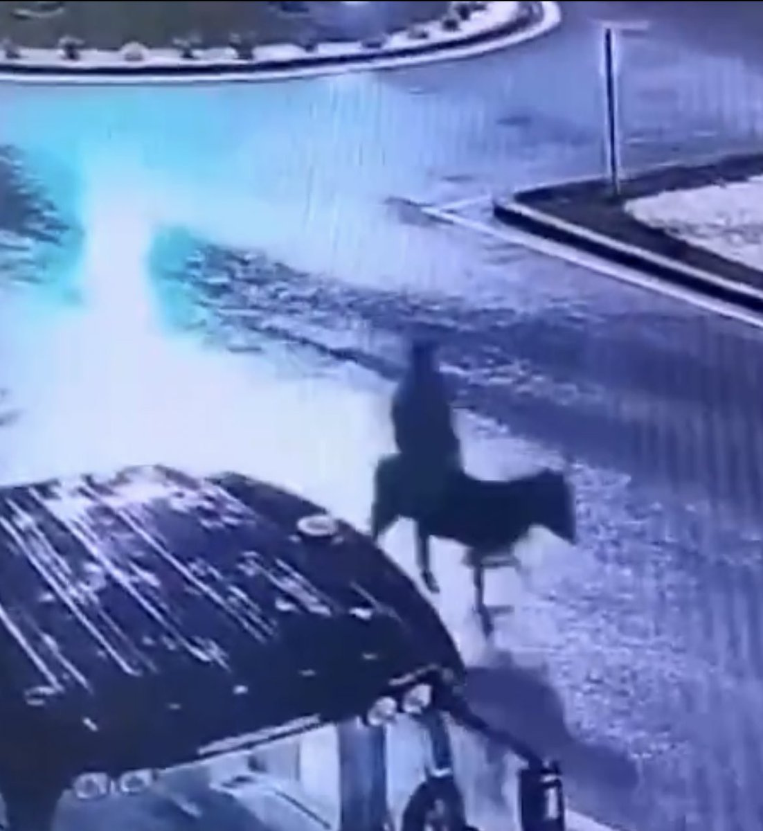 Mohammed ; tweet media