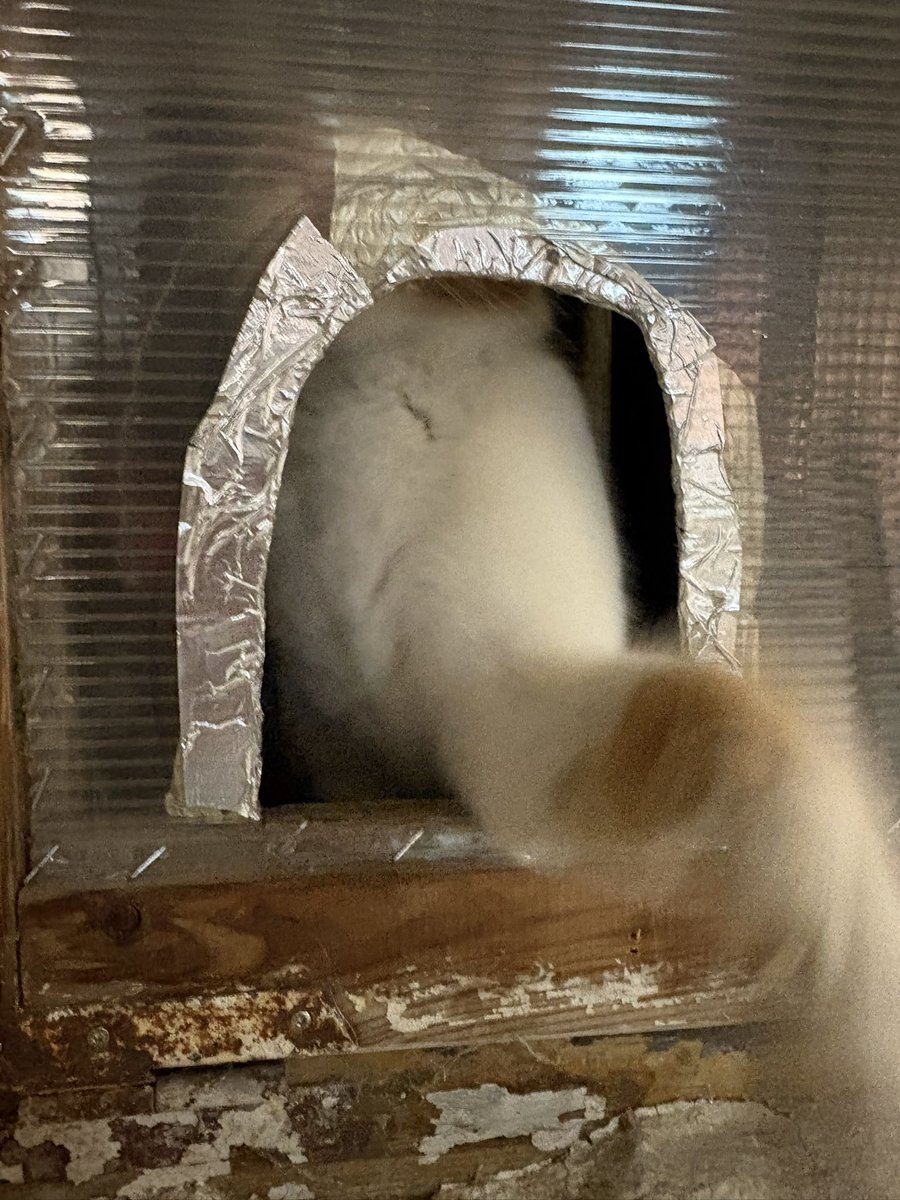 El cucú de hoy con zarpazo incluido