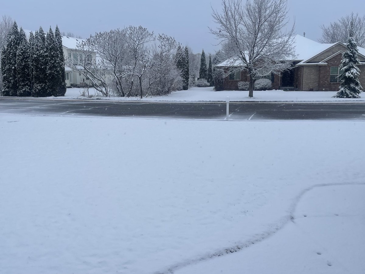 Richard Young tweet media