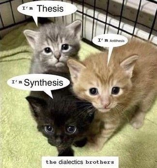 Punch Cat (@punchingcat) on Twitter photo 